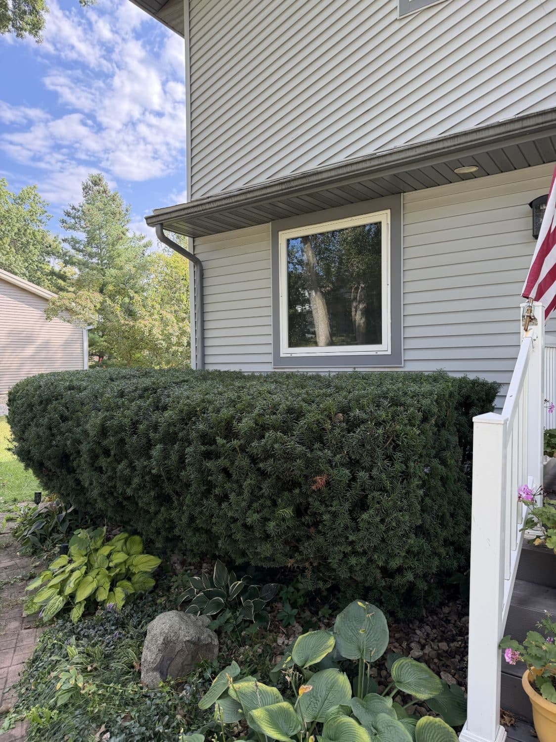 Bed & Hedge Maintenance