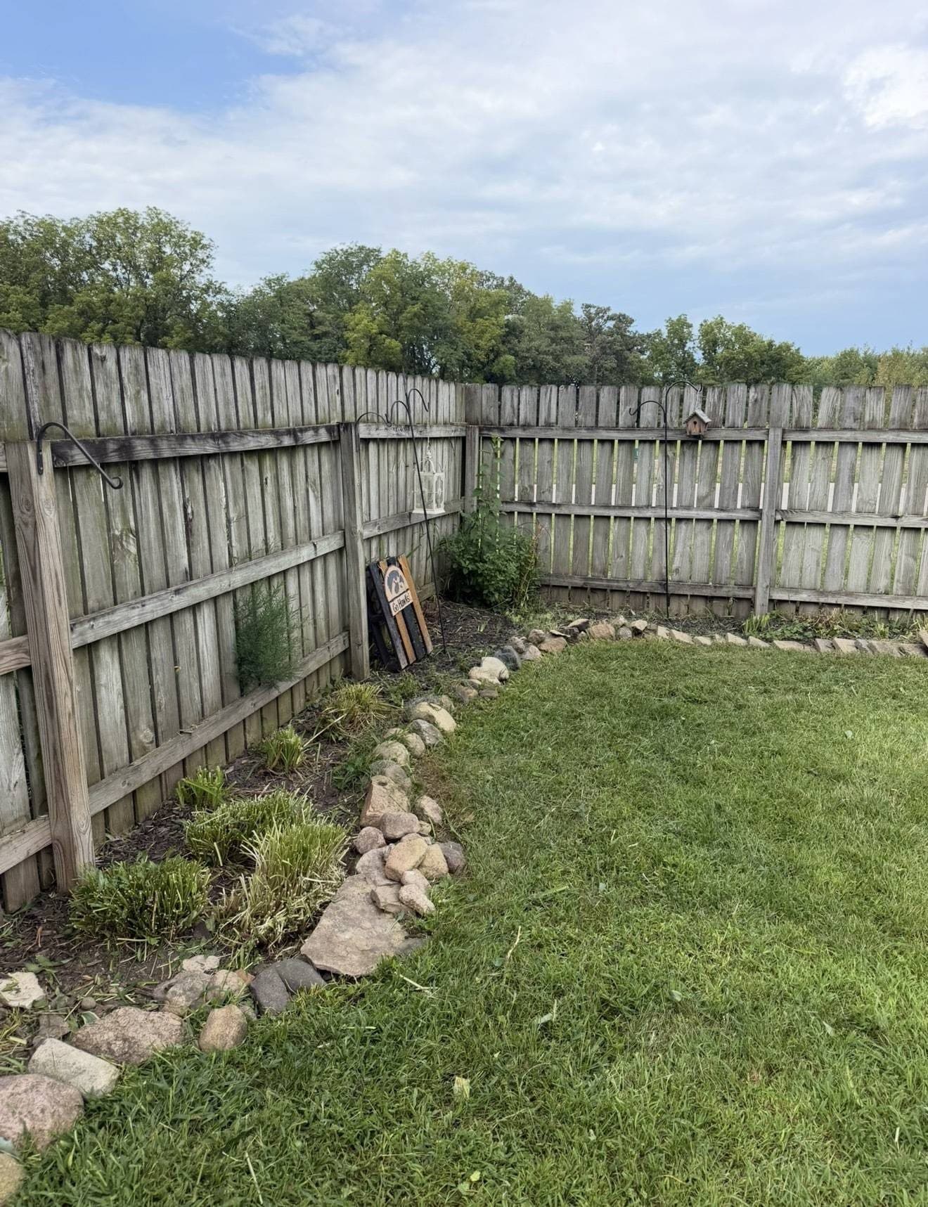 Yard Clean-Up after